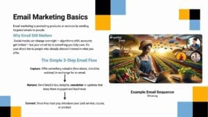 Illustration of a woman in a field using a laptop while email messages fly out, demonstrating email marketing processes